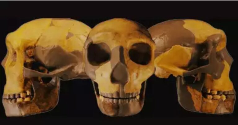 Κίνα: Ανακαλύφθηκε αρχαίο κρανίο από άγνωστο ανθρώπινο είδος