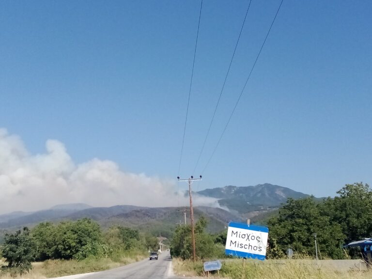 Ροδόπη: Κάτοικοι στις πυρόπληκτες περιοχές καταθέτουν τη δική τους μαρτυρία
