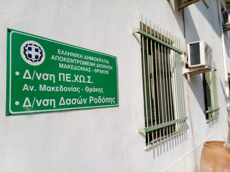 Διεύθυνση Δασών Ροδόπης: Τώρα θα καταλάβουμε την αξία του δάσους