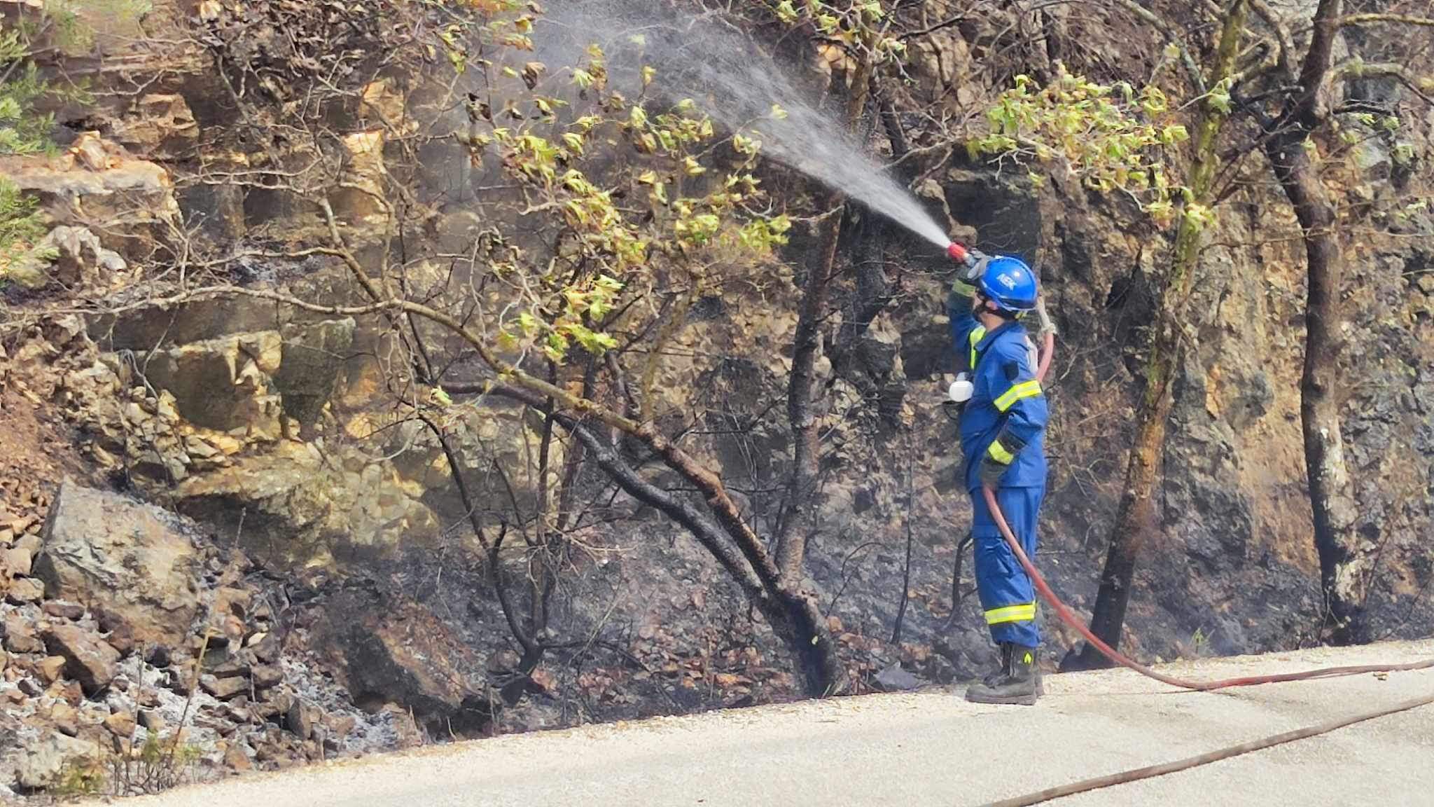 Πάργα: Υπό έλεγχο η φωτιά στο Σκεπαστό(βίντεο)