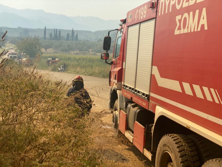 Λακωνία: Άμεσα οριοθετήθηκε πυρκαγιά στον Άγιο Νικόλαο Νεάπολης