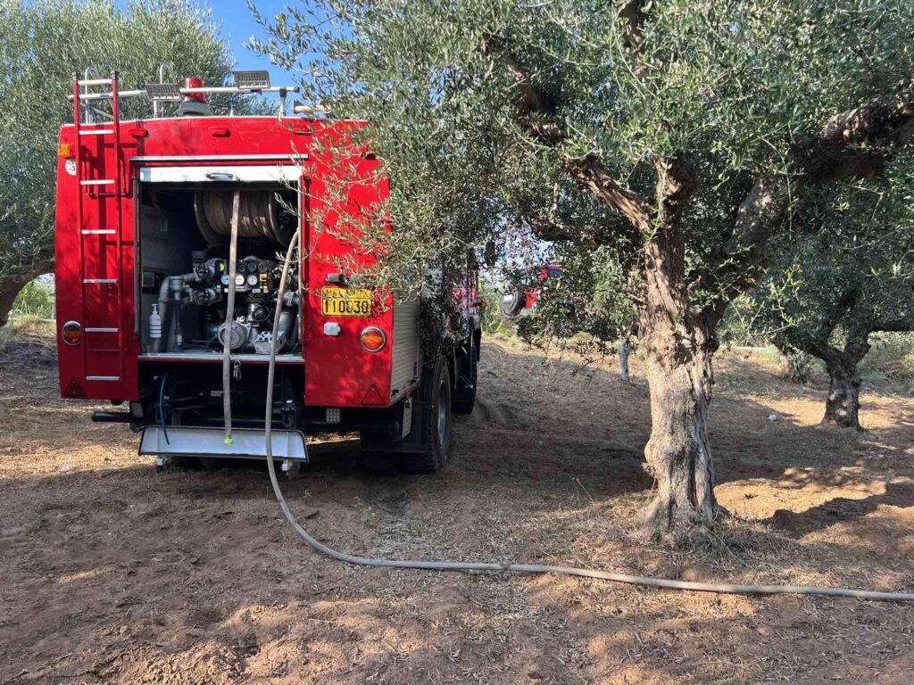 Θ. Σκυλακάκης: 30 εκατ. ευρώ από το Πράσινο Ταμείο για προληπτικά μέτρα πυροπροστασίας