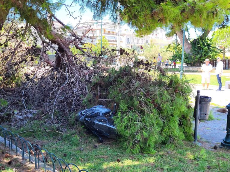 Πύργος: Κλαδιά δέντρου έπεσαν πάνω σε δίκυκλο