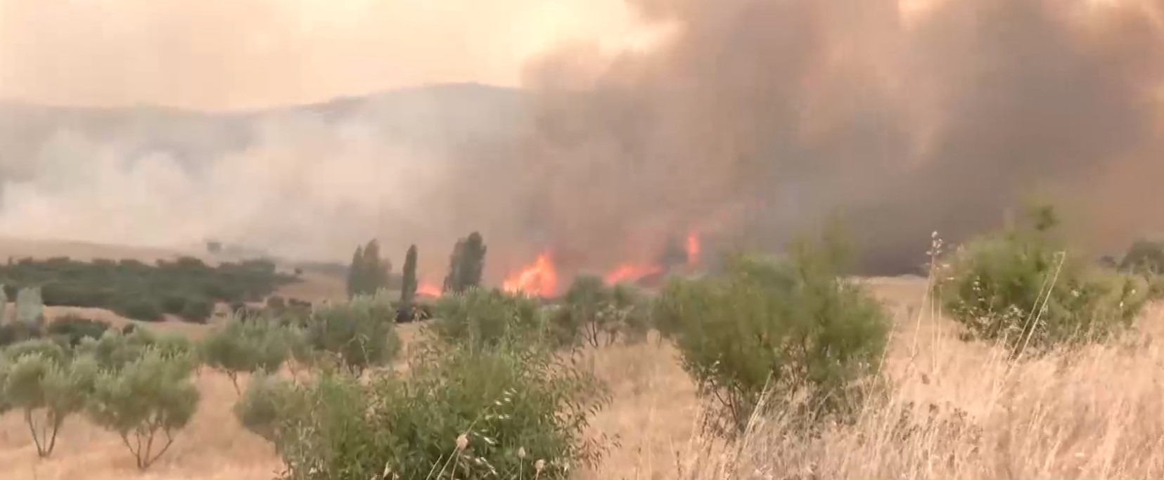 Υπό έλεγχο τέθηκε η φωτιά στον Πολύγυρο Χαλκιδικής