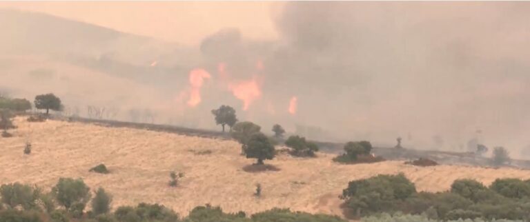 Χαλκιδική: Ενισχύθηκαν οι δυνάμεις για την κατάσβεση της φωτιάς στον Πολύγυρο