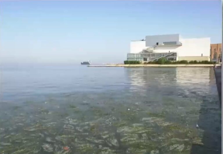 Έντονη δυσοσμία στη Θεσσαλονίκη από το φυτοπλαγκτόν στο Θερμαϊκό