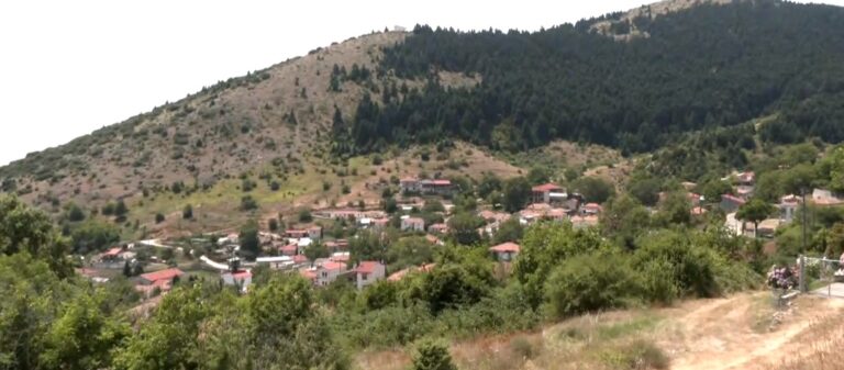 Καλλιπεύκη Ολύμπου: Ιδανικός προορισμός για δροσιά στα 1.054μ.