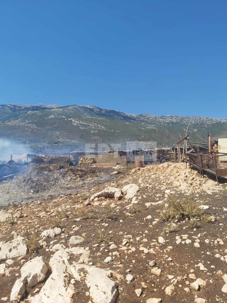 Φωτιά στην Βοιωτία: Η ΕΡΤ στο σημείο που έχασε τη ζωή του ο βοσκός στον Πρόδρομο