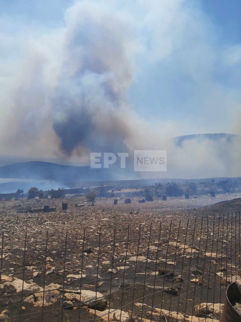 Φωτιά στην Βοιωτία: Η ΕΡΤ στο σημείο που έχασε τη ζωή του ο βοσκός στον Πρόδρομο