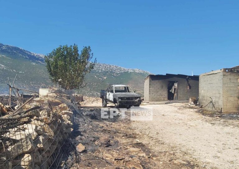 Φωτιά στην Βοιωτία: Καίει σε χαράδρα – Η ΕΡΤ στο σημείο που έχασε τη ζωή του ο βοσκός στον Πρόδρομο