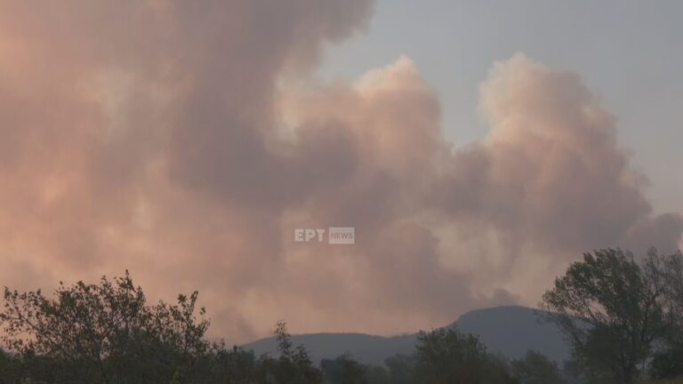 Γ. Αρτοποιός για Αλεξανδρούπολη: Αναζωπύρωση στον Δρυμό της Νίψας – Κοντά στην Εγνατία η φωτιά