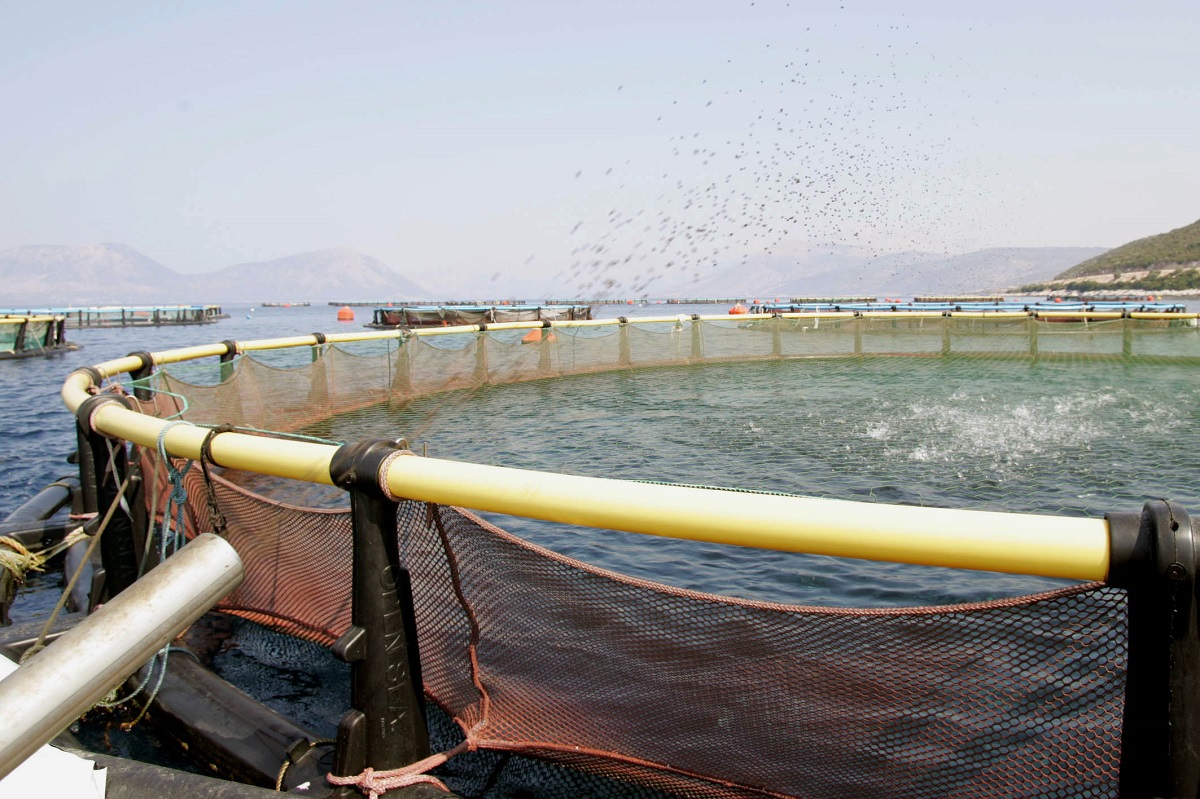 Χρηματοδότηση του αλιευτικού καταφυγίου Αστακού από το Υπ. Ναυτιλίας και Νησιωτικής Πολιτικής