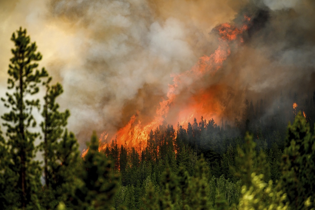 Canada Wildfires Smokejumpers Explainer