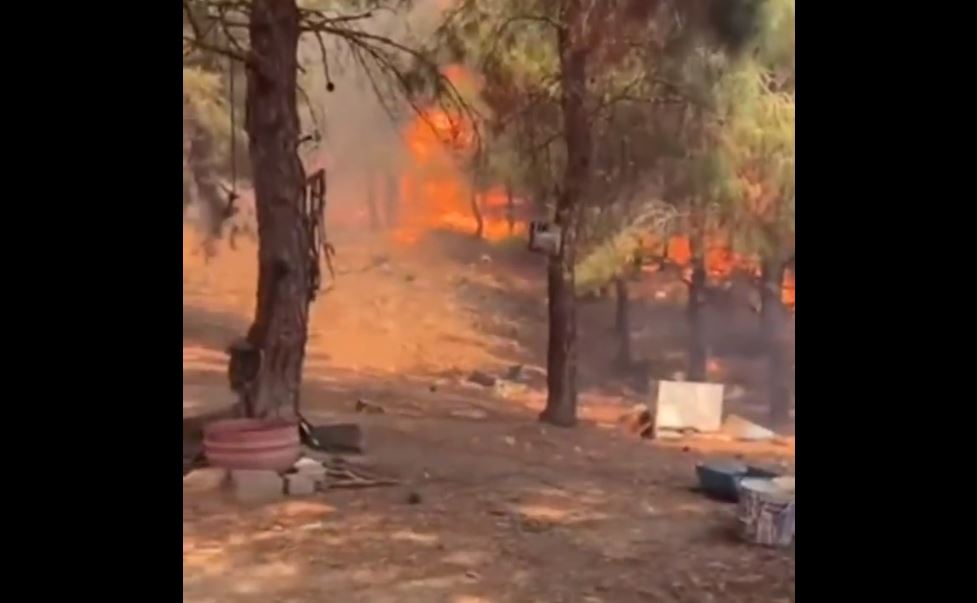 Μεγάλη πυρκαγιά στα Δαρδανέλια: Έχουν εκκενωθεί έξι χωριά – Κλειστά τα Στενά (video)