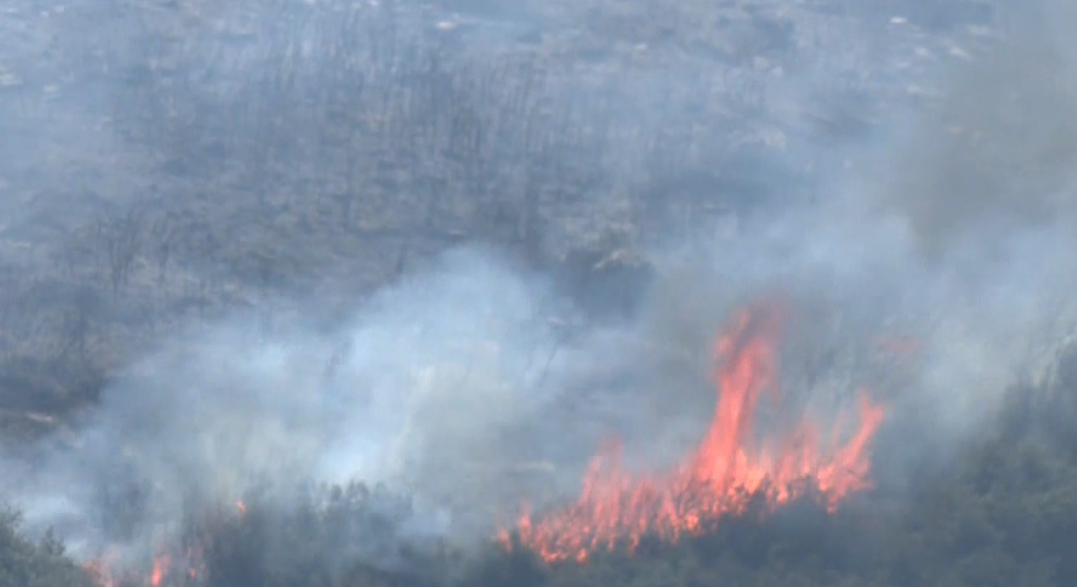 Μη αναστρέψιμες οι βλάβες από τις πυρκαγιές – Η καταστροφή των δασών αλλάζει δραματικά το κλίμα