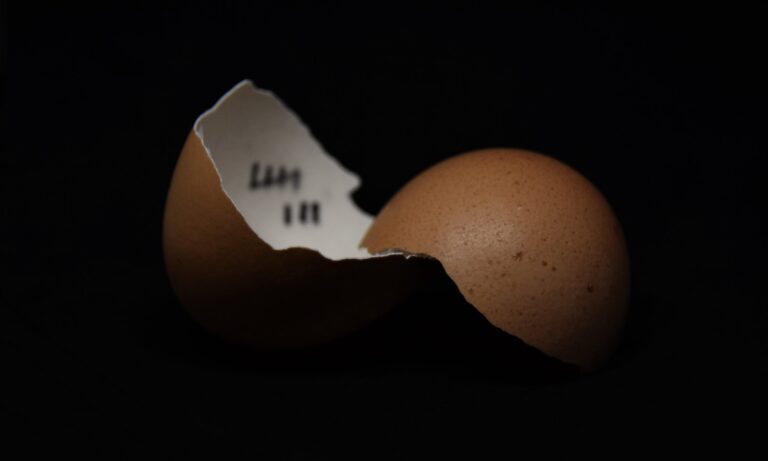 Eggshell Parenting - γονείς στα άκρα