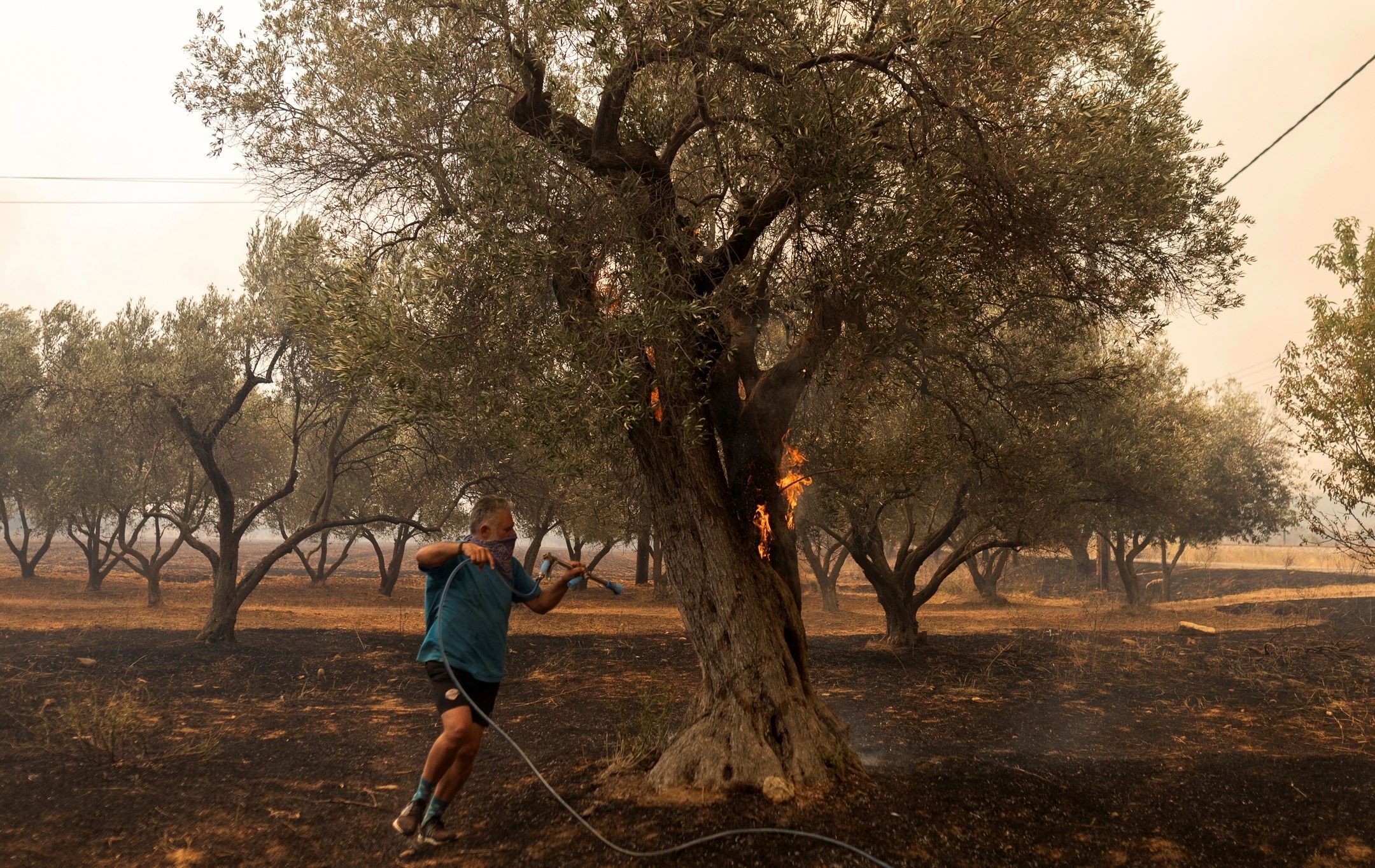 Καιρός: Εμπρηστικό κοκτέιλ ζέστης και θυελλωδών ανέμων – Τι αναμένουμε τα επόμενα 24ωρα στις περιοχές με ενεργά μέτωπα