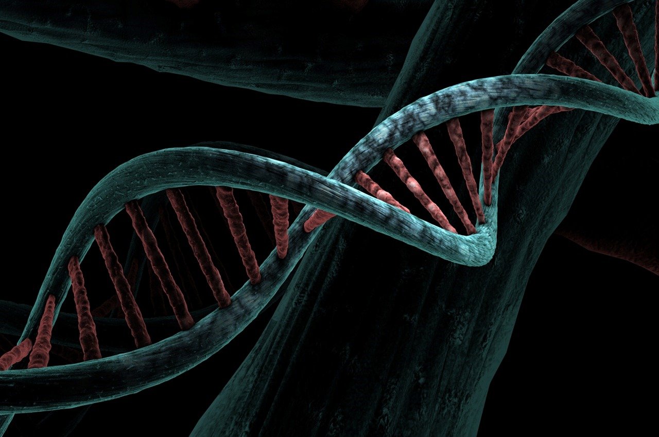 dna-6517209_1280