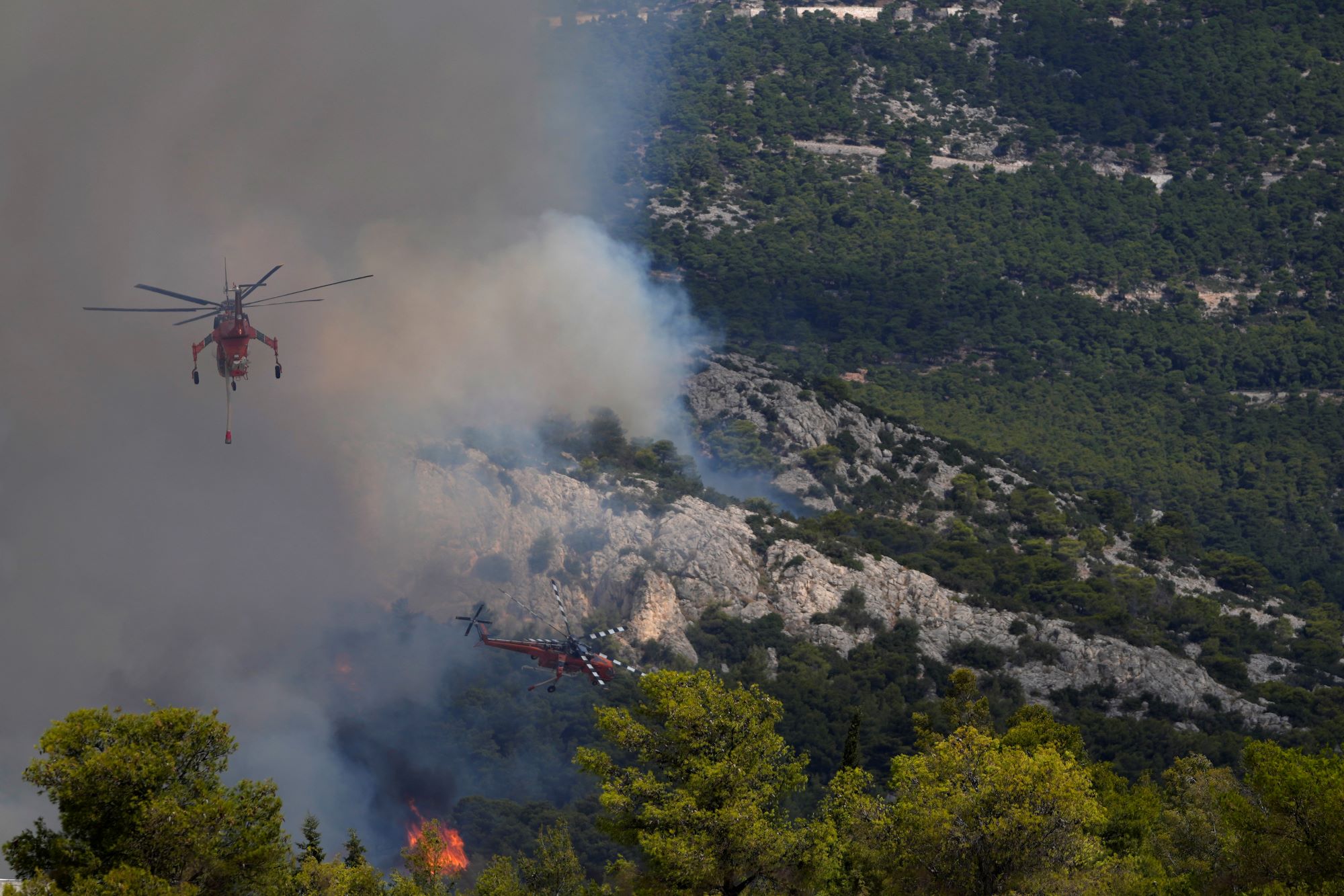 Σε ύφεση η πυρκαγιά στην Πάρνηθα – Οι φλόγες δεν έπληξαν τον πυρήνα του Εθνικού Δρυμού