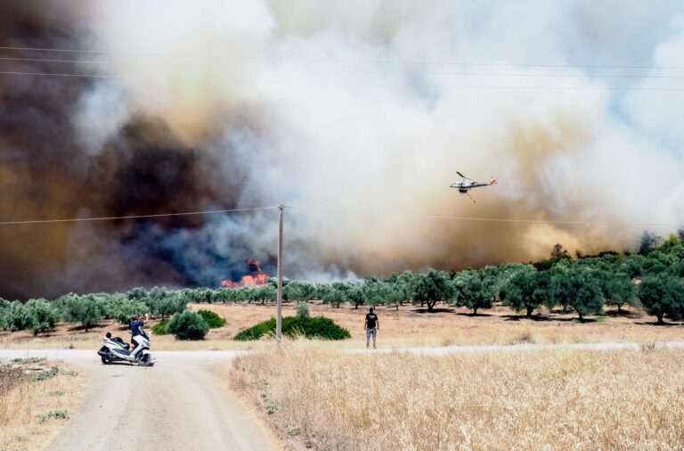 Φωτιά στην Εύβοια: Ενιαίο μεγάλο μέτωπο μεταξύ Προφήτη Ηλία Ψαχνών και Αρτάκη – Σε ετοιμότητα το Λιμενικό