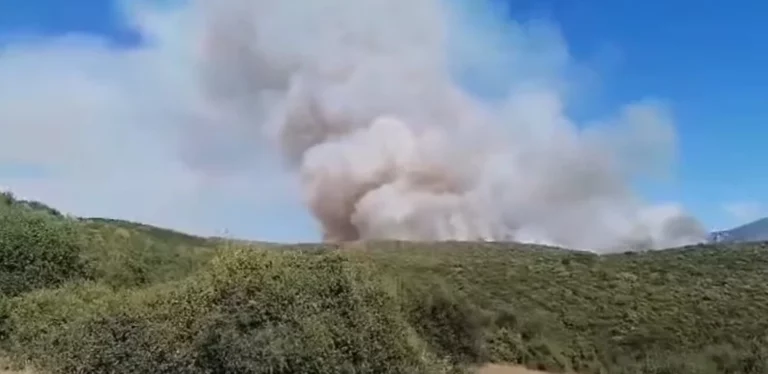 Υπο έλεγχο η φωτιά στην Ανάβρα-Επτά χιλιάδες στρέμματα έκαψε μέχρι στιγμής η πυρκαγιά