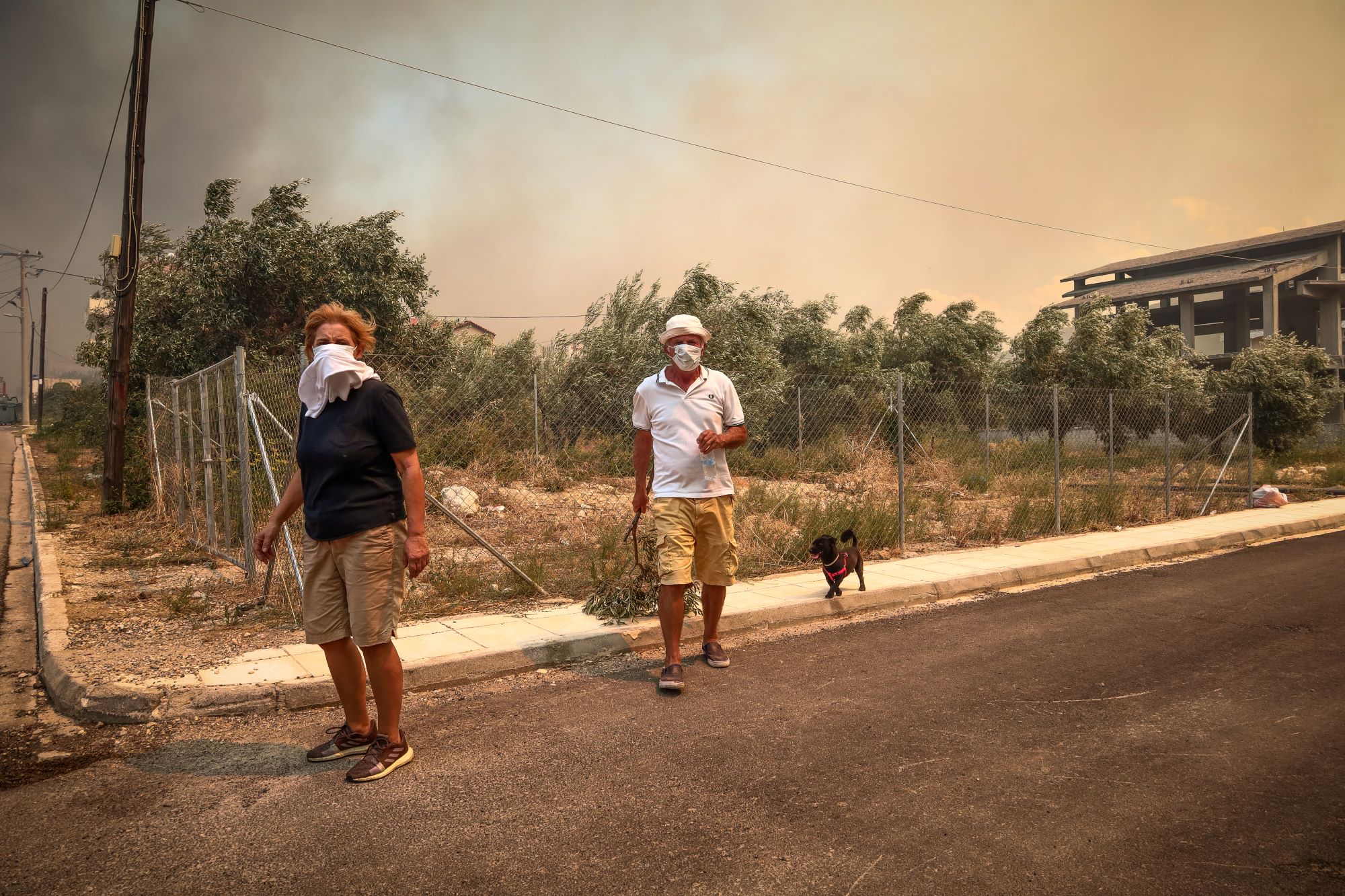 Φωτιά στη Φυλή: Μήνυμα 112 για εκκένωση στην περιοχή Πανόραμα – «Απομακρυνθείτε προς Άνω Λιόσια»