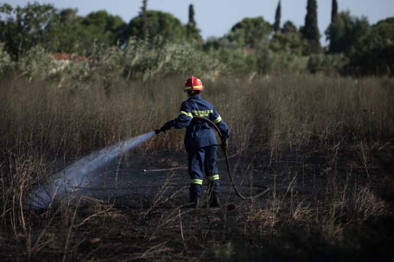 Σε κατάσταση “υψηλού κινδύνου πυρκαγιάς – 4” η Περιφέρεια Θεσσαλίας