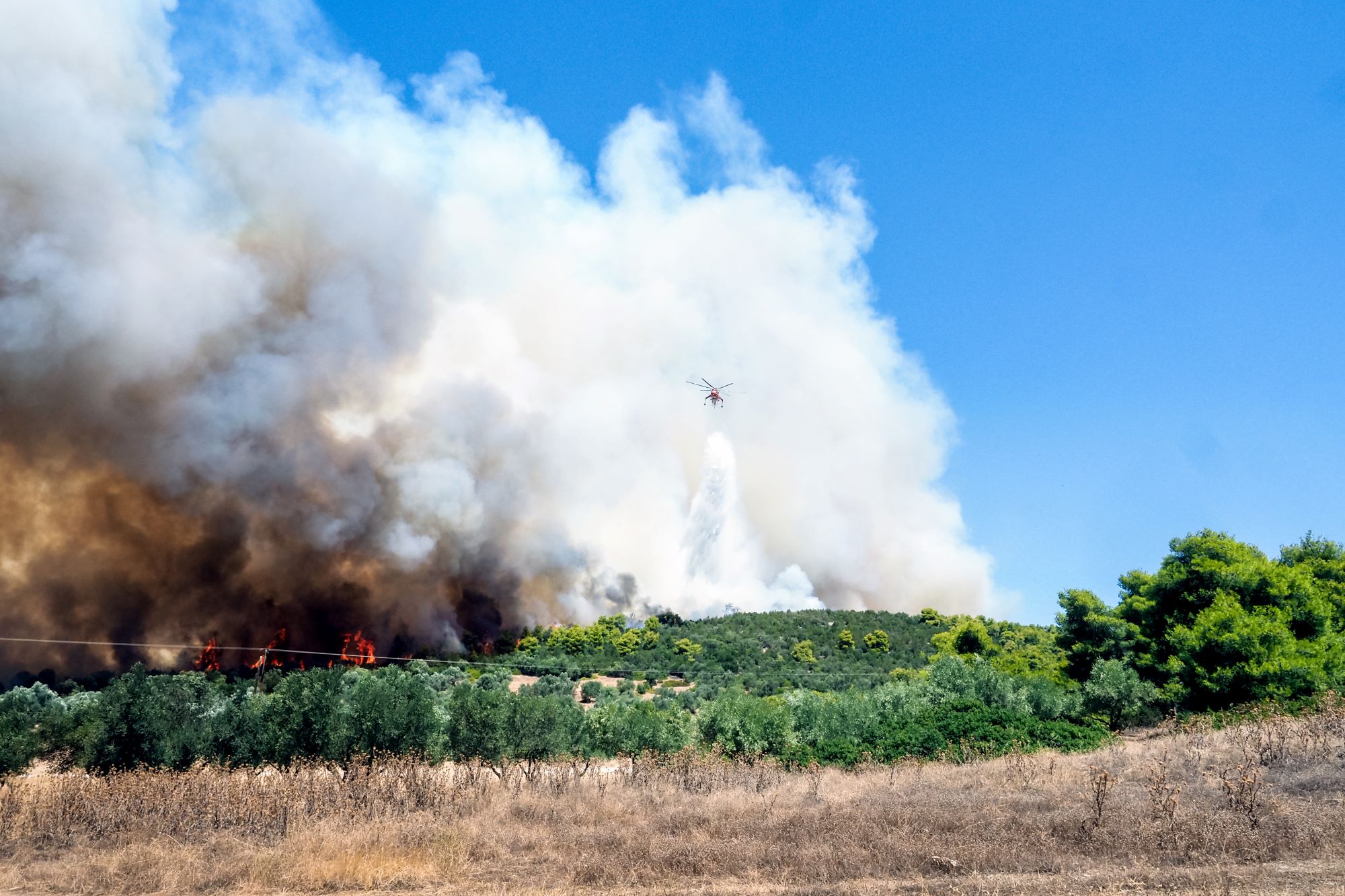 Ορεστιάδα: Φωτιά σε αγροτοδασική έκταση στα Λάβαρα Έβρου