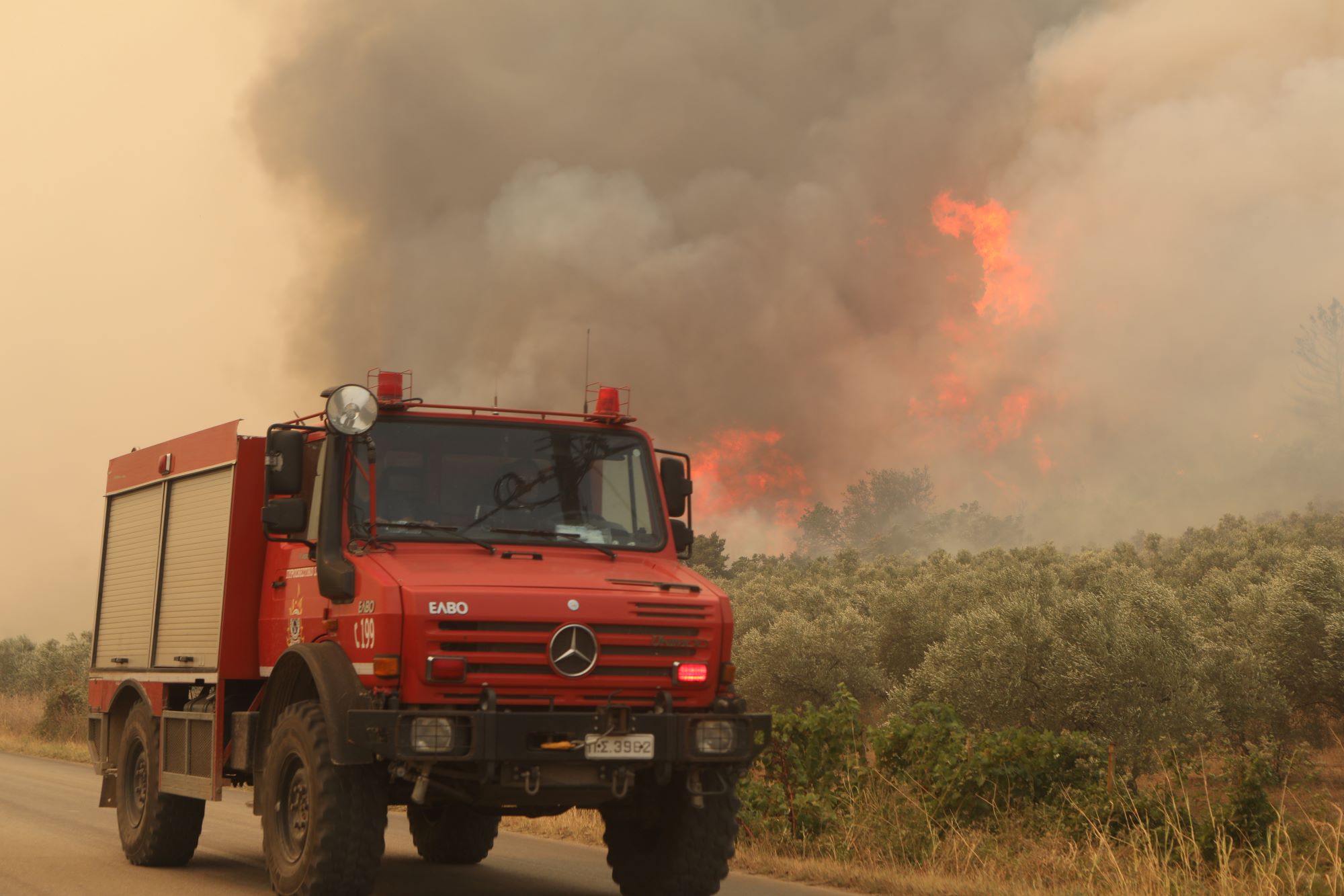 Φωτιές σε Ασπρόπυργο και Φυλή: Ποιοι δρόμοι είναι κλειστοί