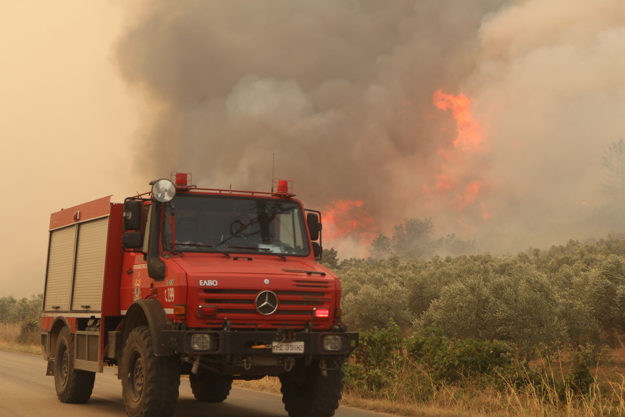 Φωτιά στη Χαλκίδα: Προσαγωγή 48χρονου ύποπτου για εμπρησμό