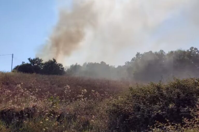 Θεσσαλονίκη: Φωτιά σε ξερά χόρτα στο Φίλυρο