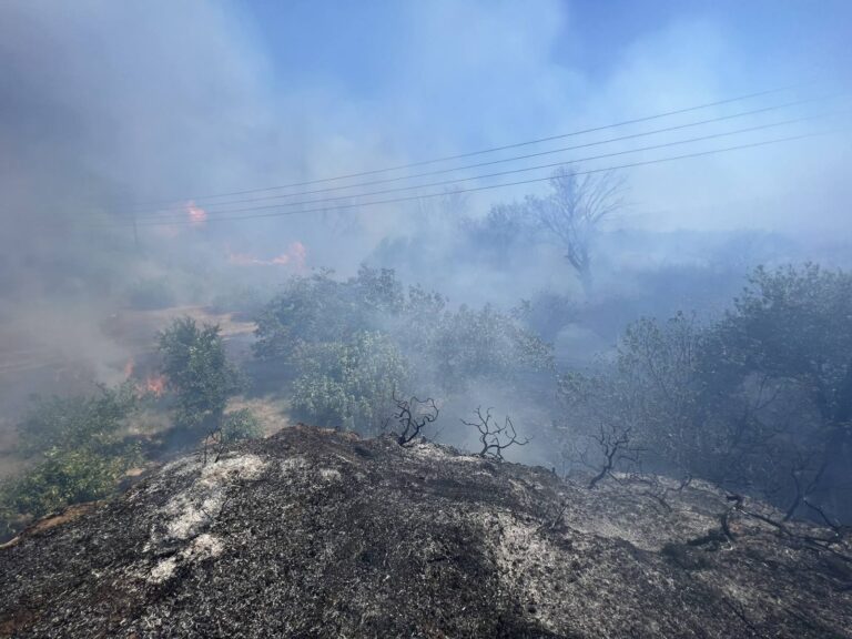 Υπό μερικό έλεγχο η πυρκαγιά την Αρσινόη Μεσσηνίας
