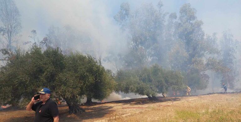 Φωτιά στην Καβάλα: Μήνυμα του 112 στον Άγιο Κοσμά