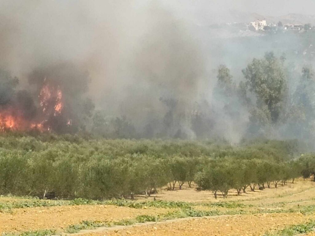 Ηράκλειο: Βελτιωμένη η εικόνα της πυρκαγιάς  στα Καλύβια-Τέθηκε υπό μερικό έλεγχο