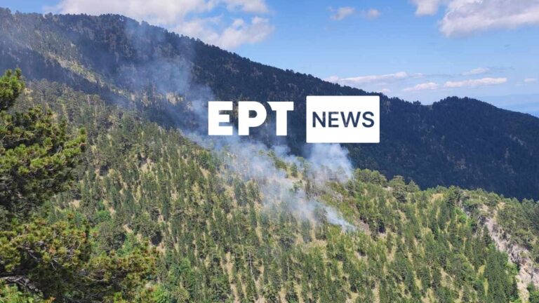 Λάρισα: Φωτιά ξέσπασε στον Όλυμπο σε δύσβατη περιοχή στην Καρυά Ελασσόνας (βίντεο)