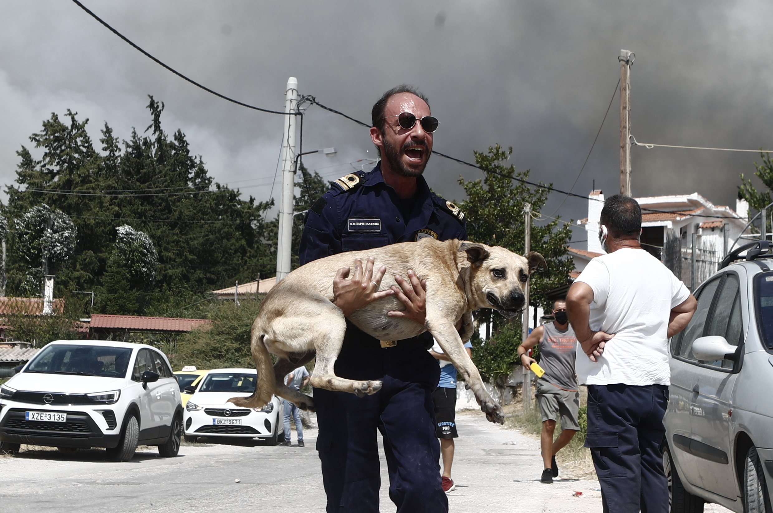 M. Δημοπούλου, γρ. Προστασίας Ζώων Συντροφιάς: Τα πυρόποπληκτα ζώα μεταφέρονται στις Ολυμπιακές εγκαταστάσεις στο Γαλάτσι