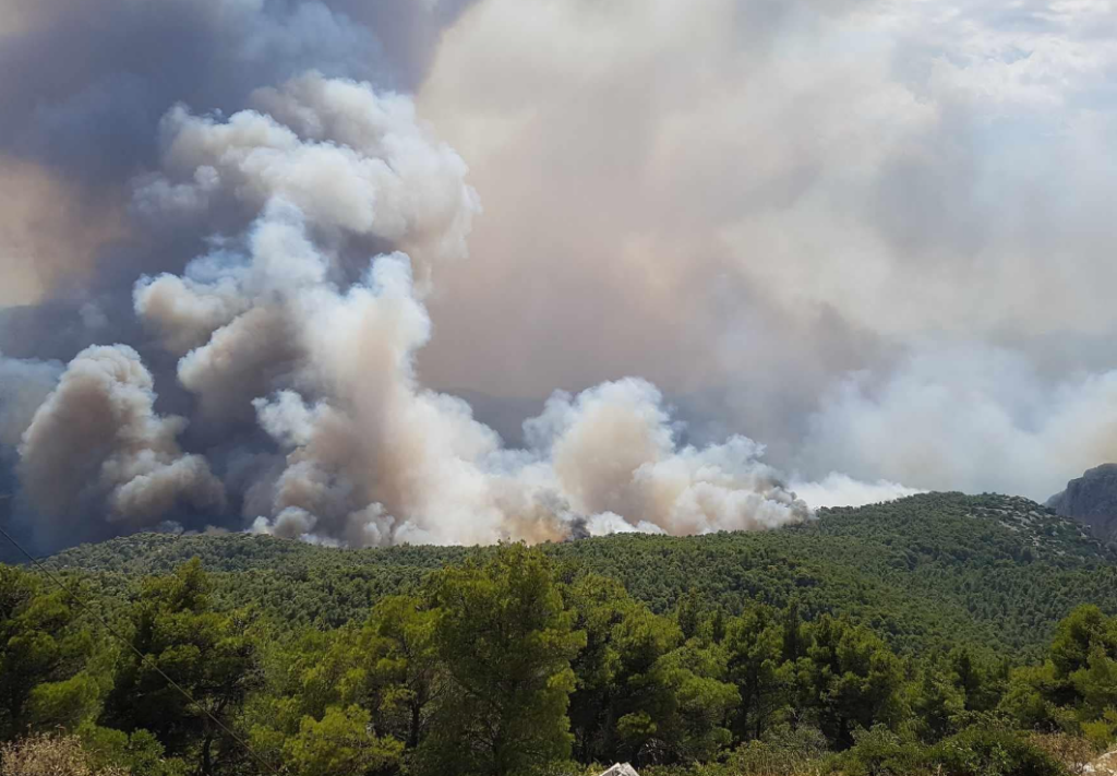 Πάρνηθα: Στις φλόγες 10 σπίτια – Προς τον εθνικό δρυμό η φωτιά