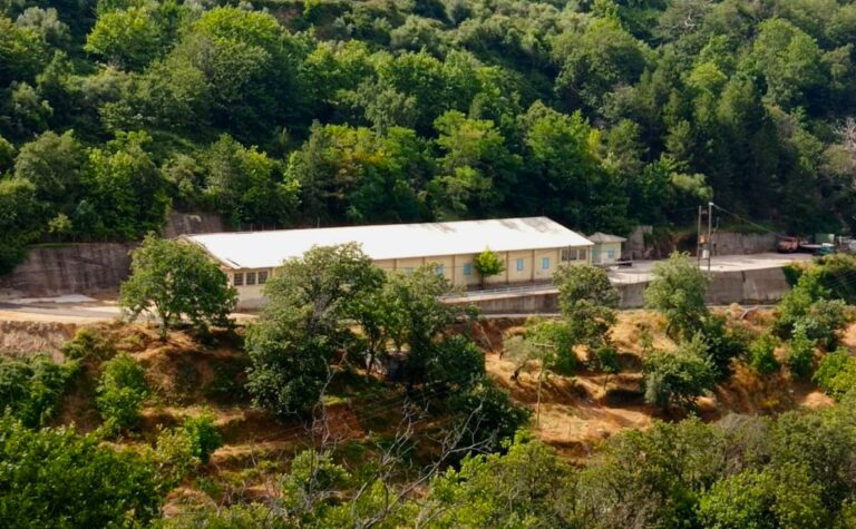 Καλαμάτα: Το Σάββατο 19 Αυγούστου η 36η Γιορτή Πατάτας στο προαύλιο του «Κέντρου Πατατόσπορου Αλαγονίας»