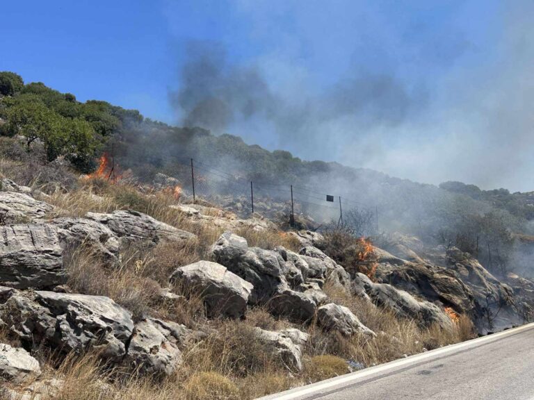 Ηράκλειο: Φωτιά στο δάσος της Κέρης Μαλεβιζίου
