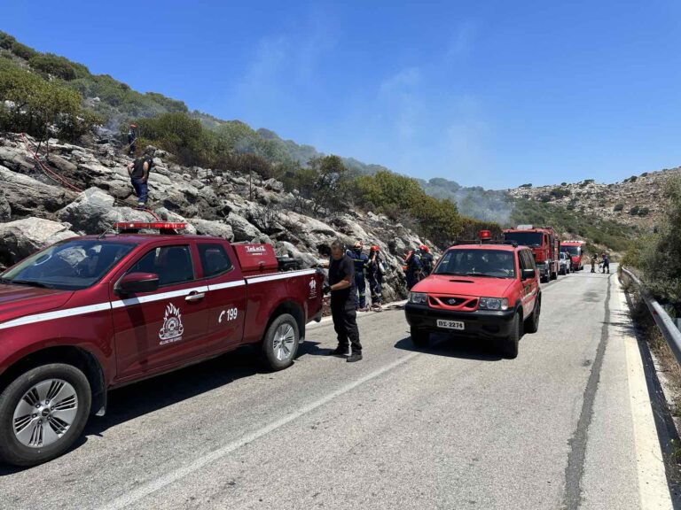 Άμεσα τέθηκε υπό έλεγχο η φωτιά στο δάσος της Κέρης Μαλεβιζίου (βίντεο)
