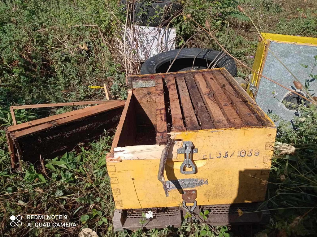 Ήπειρος: Δεκάδες κυψέλες μελισσών κατέστρεψε αρκούδα στη Δραμπάτοβα Ιωαννίνων