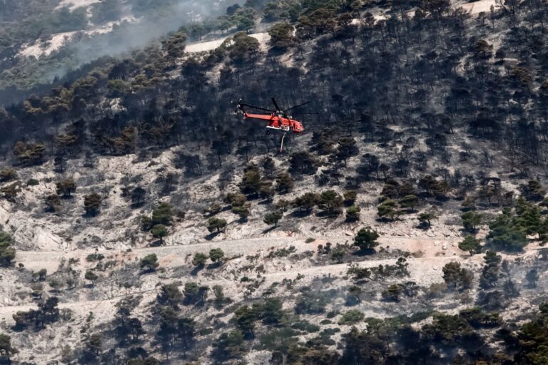 «Μάχη» με τις αναζωπυρώσεις στην Πάρνηθα: Βελτιωμένη η εικόνα – Σε ετοιμότητα οι Θρακομακεδόνες
