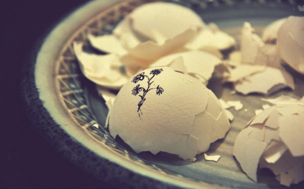 Eggshell Parenting 2