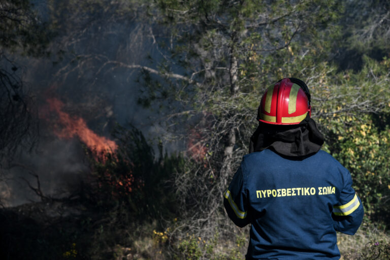 Φωτιά σε δάσος στο Κιλκίς – Επιχειρούν επίγειες και εναέριες δυνάμεις