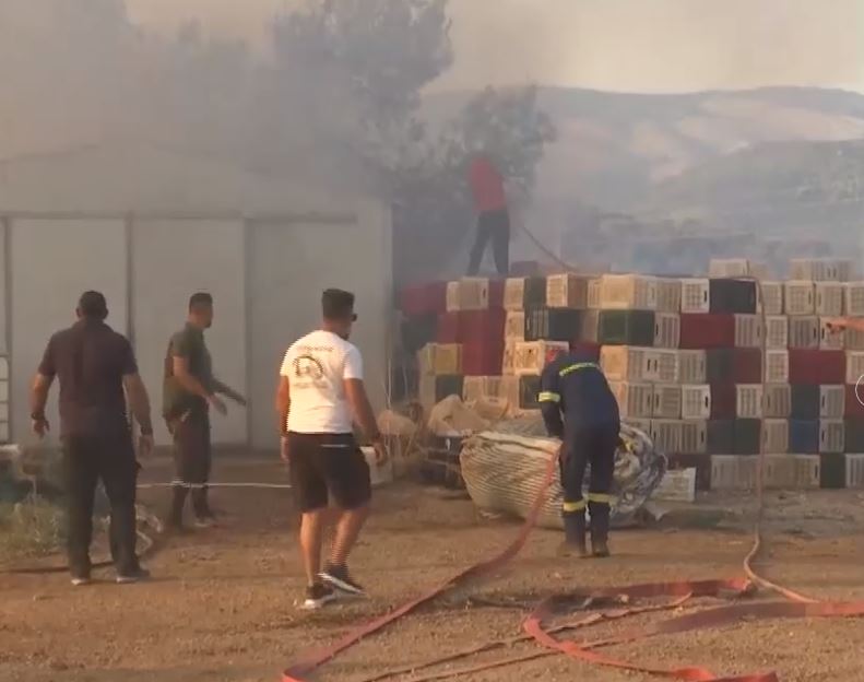 Έυβοια: Διάσπαρτες εστίες φωτιάς ανάμεσα σε Νέα Αρτάκη και Ψαχνά – Πυροσβέστες και εθελοντές επιχειρούν στα νέα μέτωπα
