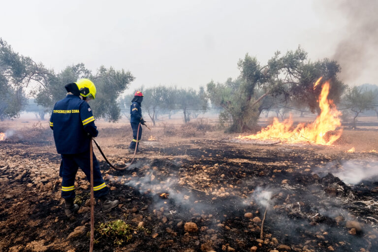 Αγρίνιο: Μεγάλη πυρκαγιά σε χαμηλή βλάστηση-Κινητοποίηση της Πυροσβεστικής