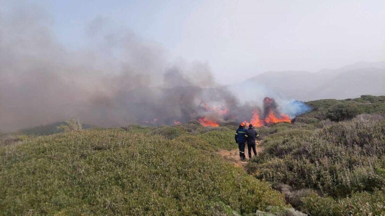 Πυρκαγιά σε δύσβατη περιοχή στο δάσος του Αμπελικού – Κινητοποίηση εναέριων μέσων