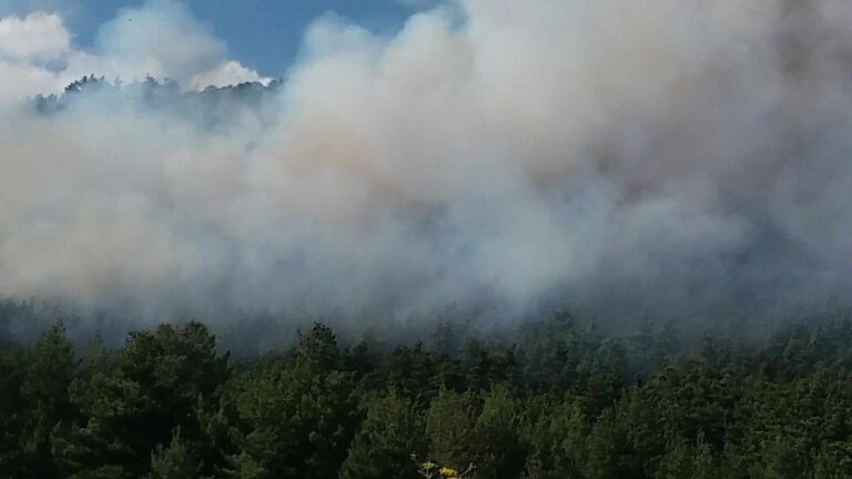 Τρίπολη: Πυρκαγιά στην περιοχή Αγίου Βλασίου