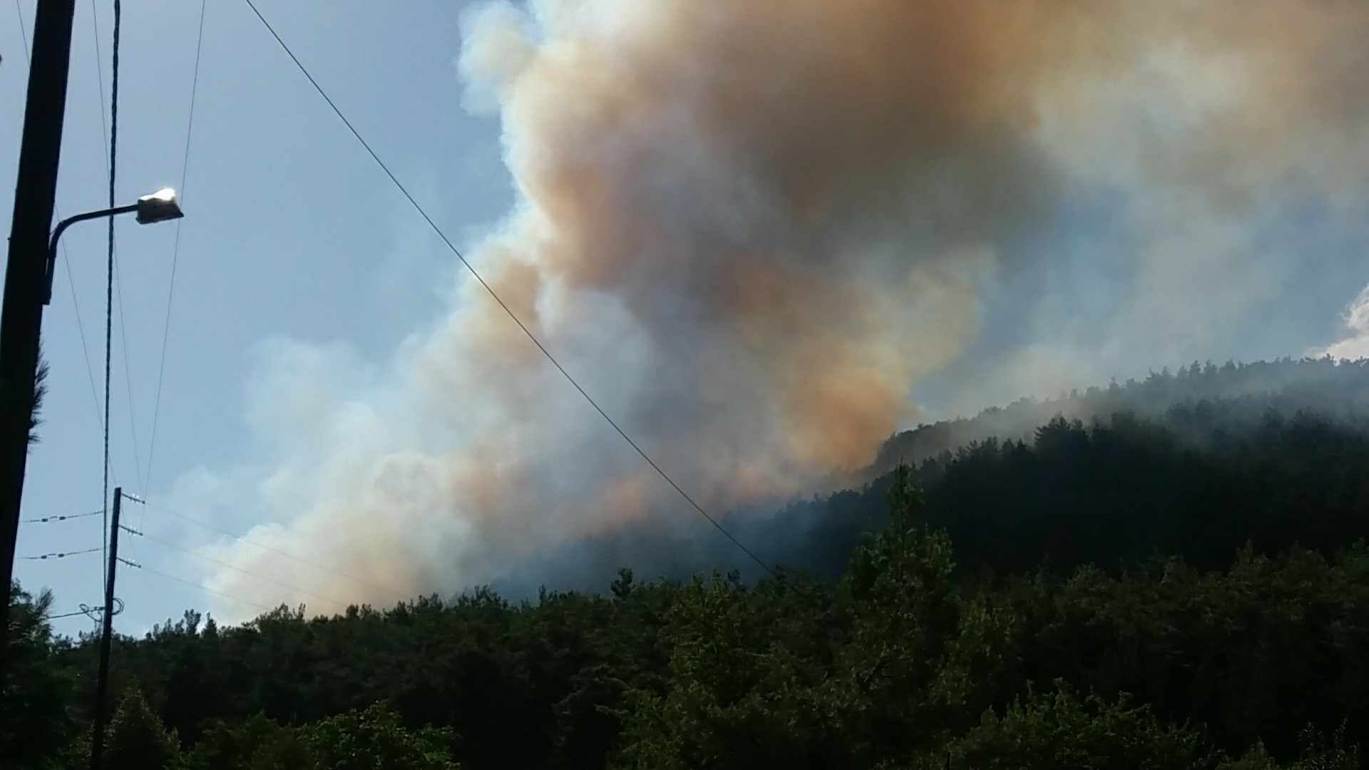 Ηλεία: Τρεις πυρκαγιές τέθηκαν υπό έλεγχο – Σε Ανρίτσαινα, Σπιάντζα και Κεραία