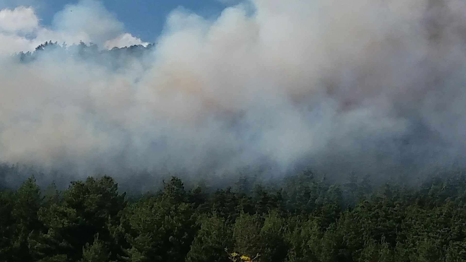 Τρίπολη: Πυρκαγιά στην περιοχή Αγίου Βλασίου